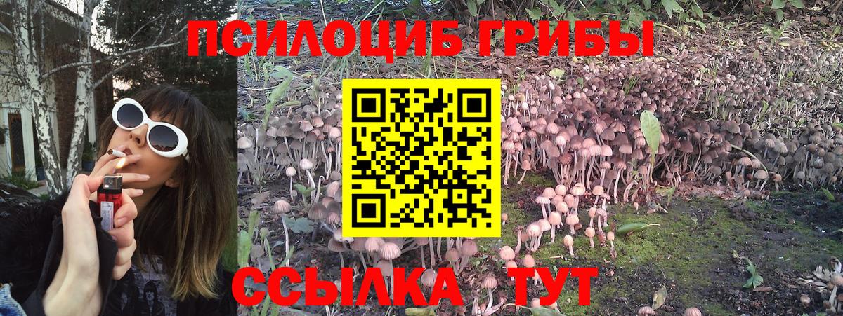 Псилоцибиновые грибы GOLDEN TEACHER Полевской
